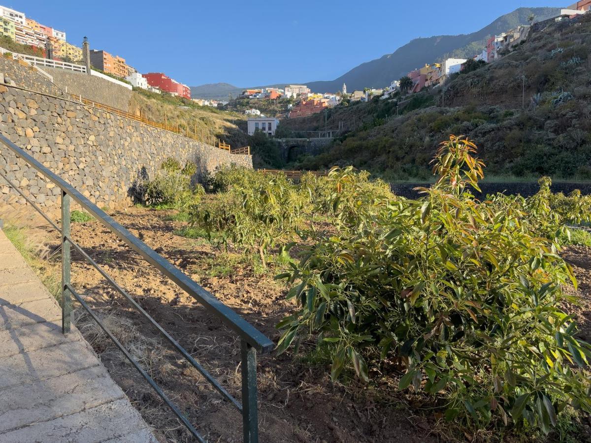 Finca Pico Los Realejos Zewnętrze zdjęcie