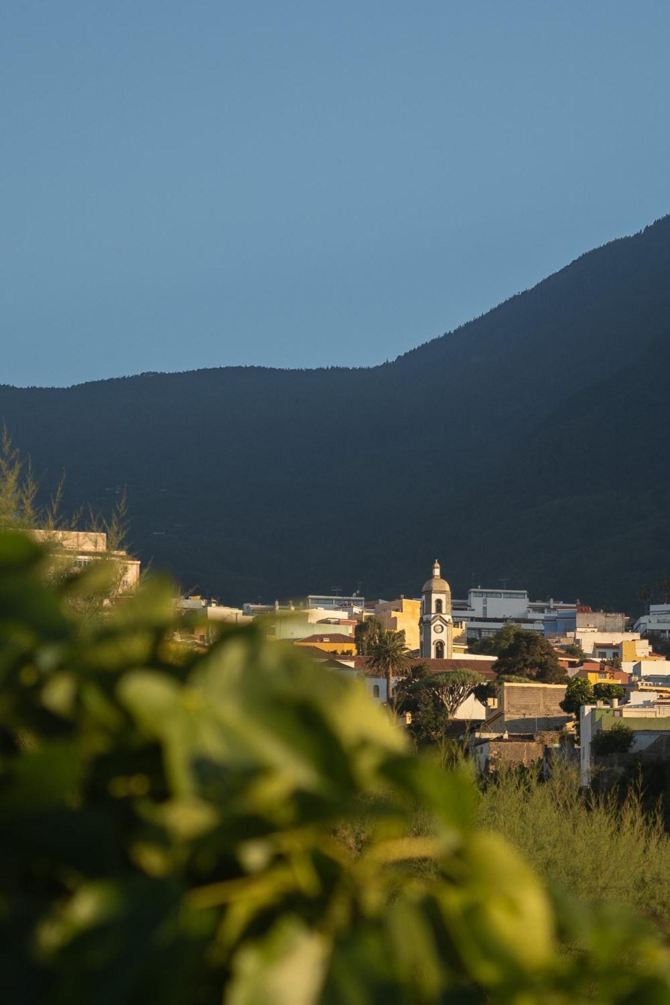 Finca Pico Los Realejos Zewnętrze zdjęcie